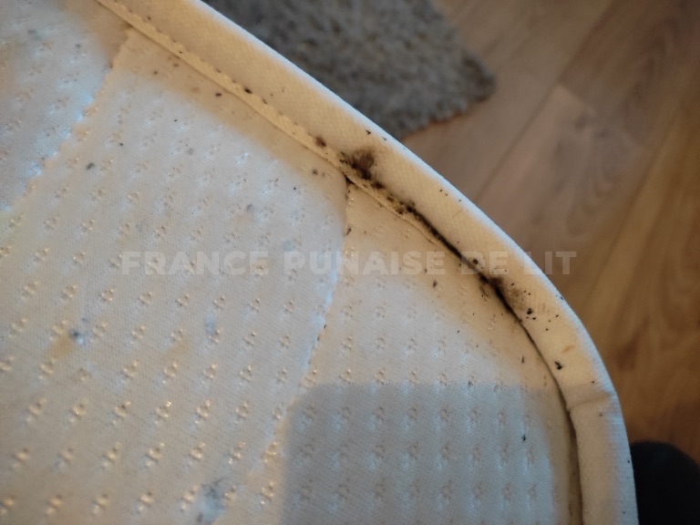 Bord de matelas blanc dont le liseré est couvert de points noirs, déjections de punaises de lit