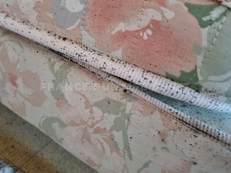 Passepoil blanc entre matelas et sommier à fleurs roses, couvert de nombreux points noirs