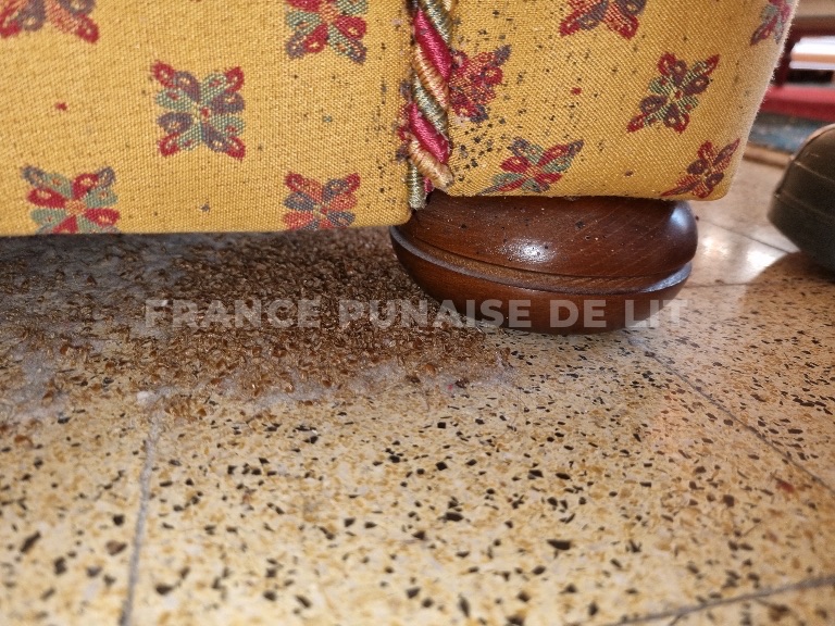 Bas d'un fauteuil en tissu jaune à motifs, points noirs sur le tissu et tapis de fragments bruns sur le carrelage
